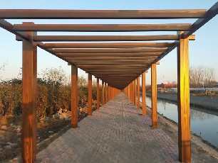 天津市武清區大孟莊鎮后幼莊村廊架木紋漆施工